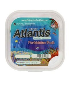 Atlantis Magic Truffles kaufen – Psilocybin Trüffel Atlantis bestellen