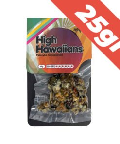 High Hawaiians Magic Truffles kaufen – Psilocybin Trüffel bestellen