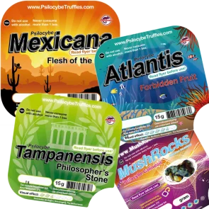 Magic Truffles Value Pack kaufen – Zaubertrüffel Bundle