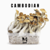 Mondo® Cambodia Growkit kaufen | Magic Mushroom Kit für Anfänger & Profis