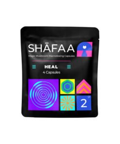 Shafaa Macrodosierung Magic Mushroom Kapseln