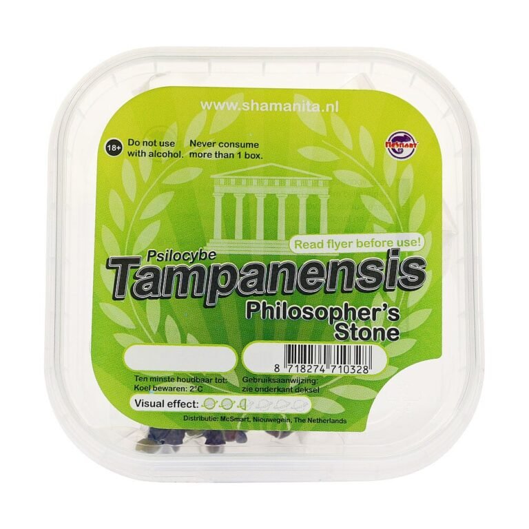 Tampanensis Magic Truffles kaufen – Psilocybin Trüffel
