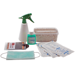 Magic Mushroom Grow Kit Starter Pack kaufen | FreshMushrooms Komplettset für Anfänger