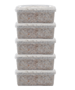 Mondo® 5er Growkit Discount Pack kaufen | Magic Mushroom Zuchtset für hohe Erträge