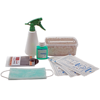 Mondo Growkit Starter Set kaufen | Magic Mushroom Starter Pack für Einsteiger