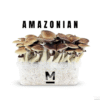 PES Amazon Magic Mushroom Grow Kit XL kaufen | Mondo® Zuchtset mit hoher Wirkung